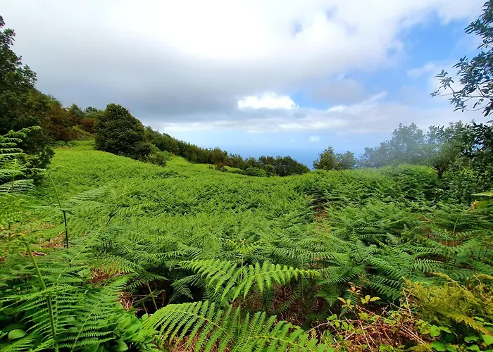 Mirador De Encantos Playa San Marcos Daire *