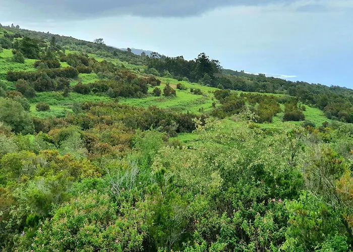 Daire Mirador De Encantos Playa San Marcos San Marcos (Tenerife)